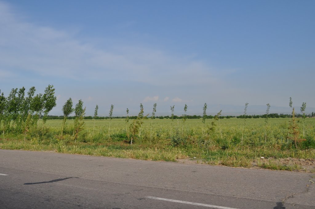 on the way to Tashkent Mountains May 2010