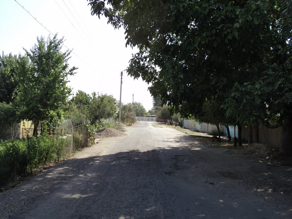 Садовая улица