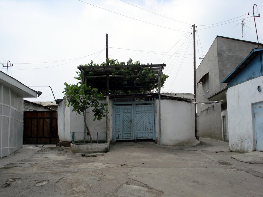 kokand