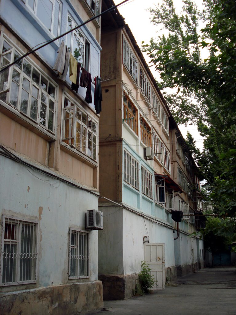 kokand istanbul caddesi backyard