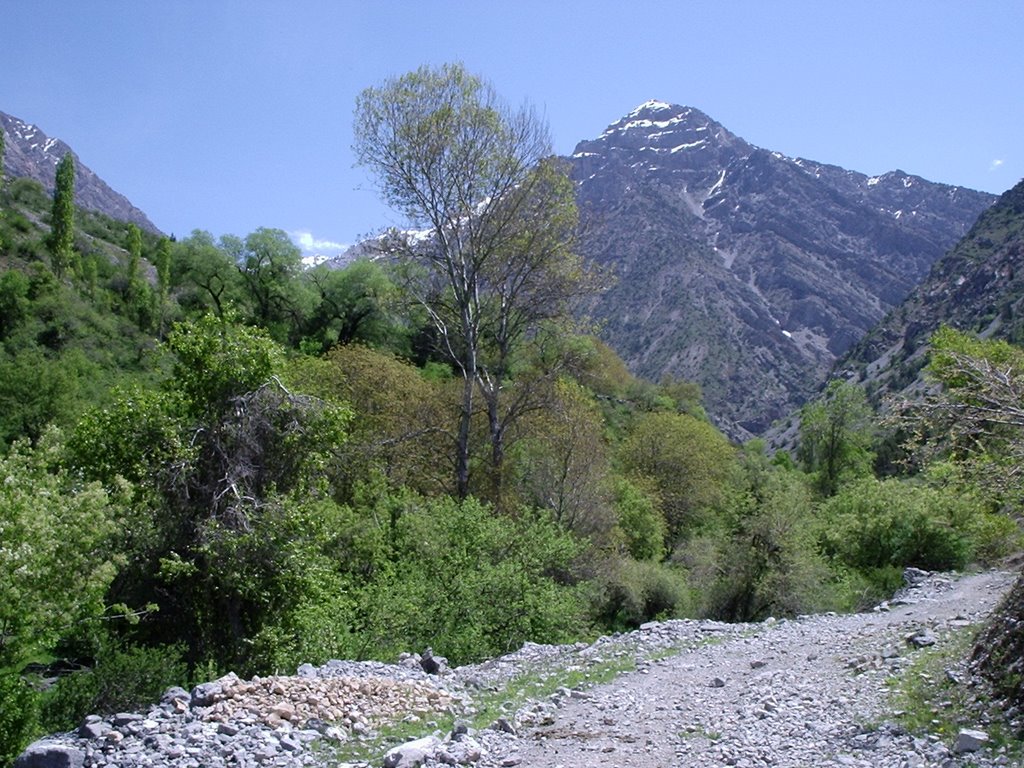 Uch-Korgon