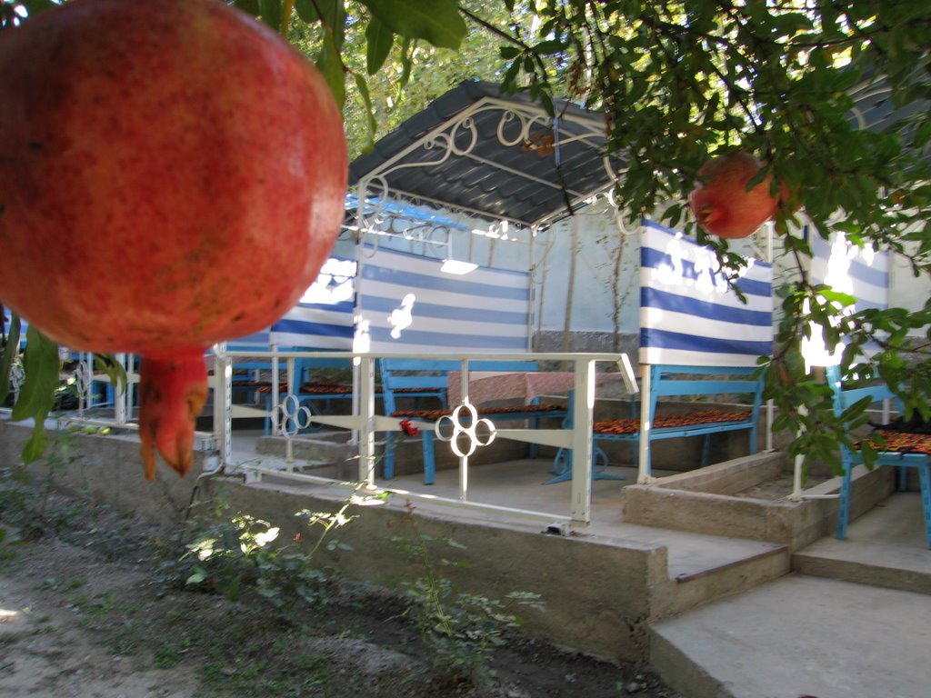 Kadamzhay, cafe Uyut (cosiness)