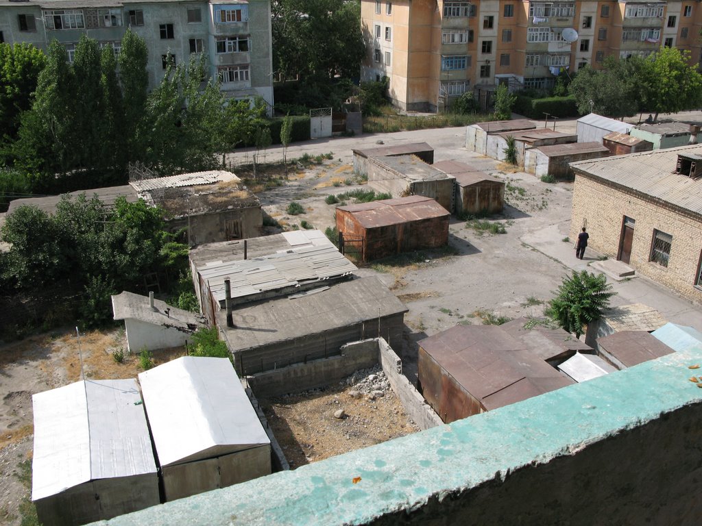 Ferghana, court