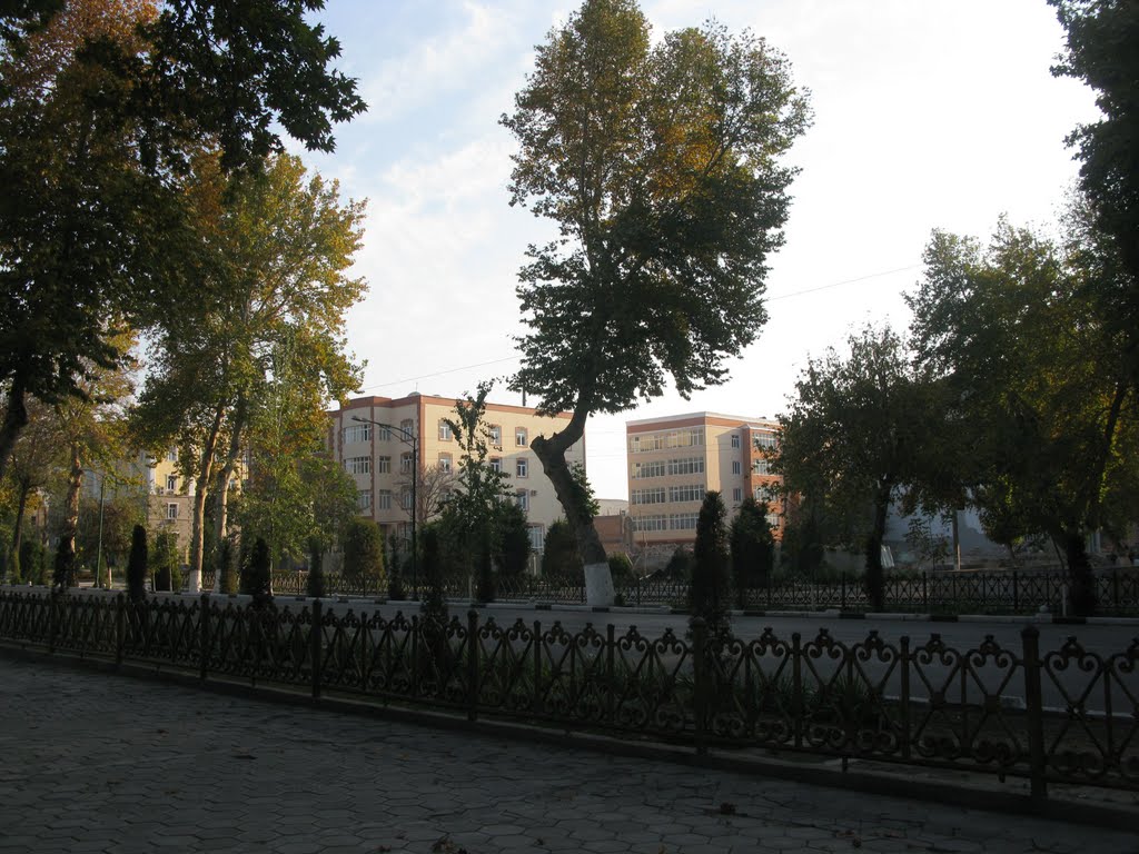 Fergana, street (old Lenin street)