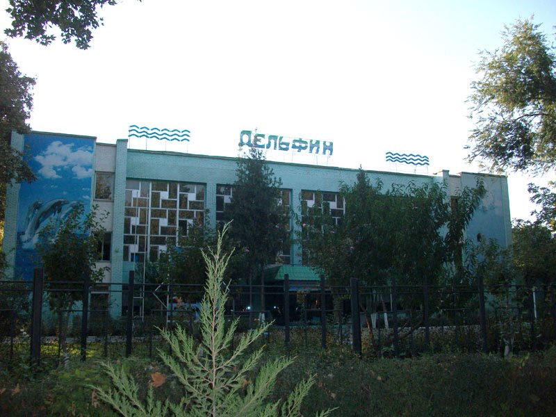 Спорткомплекс "Дельфин"