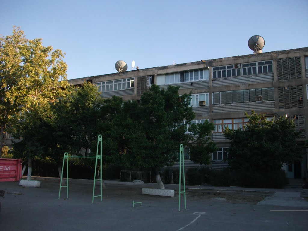 За дельфином