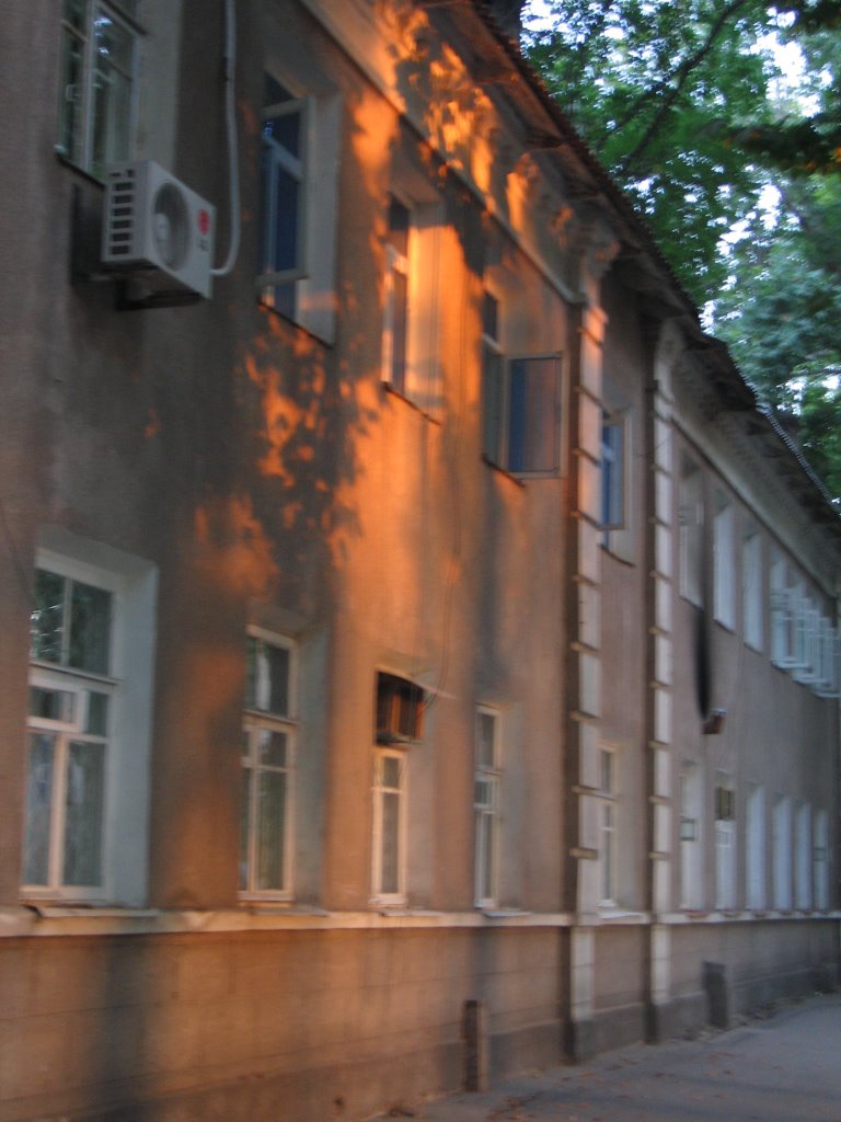 Ferghana, street, sunbeam