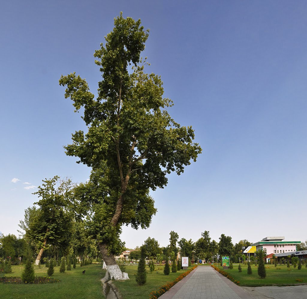 Central Park, Fergana, Uzbekistan.