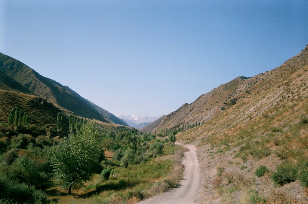 Chilesay, over canyons