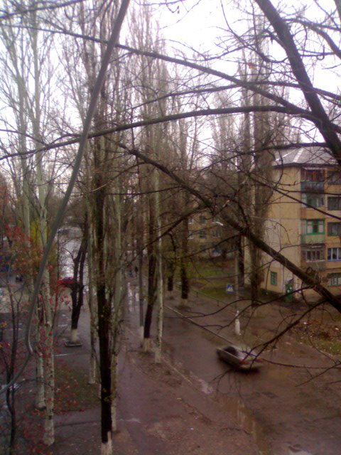 Прелестная осенняя грязь 0_о