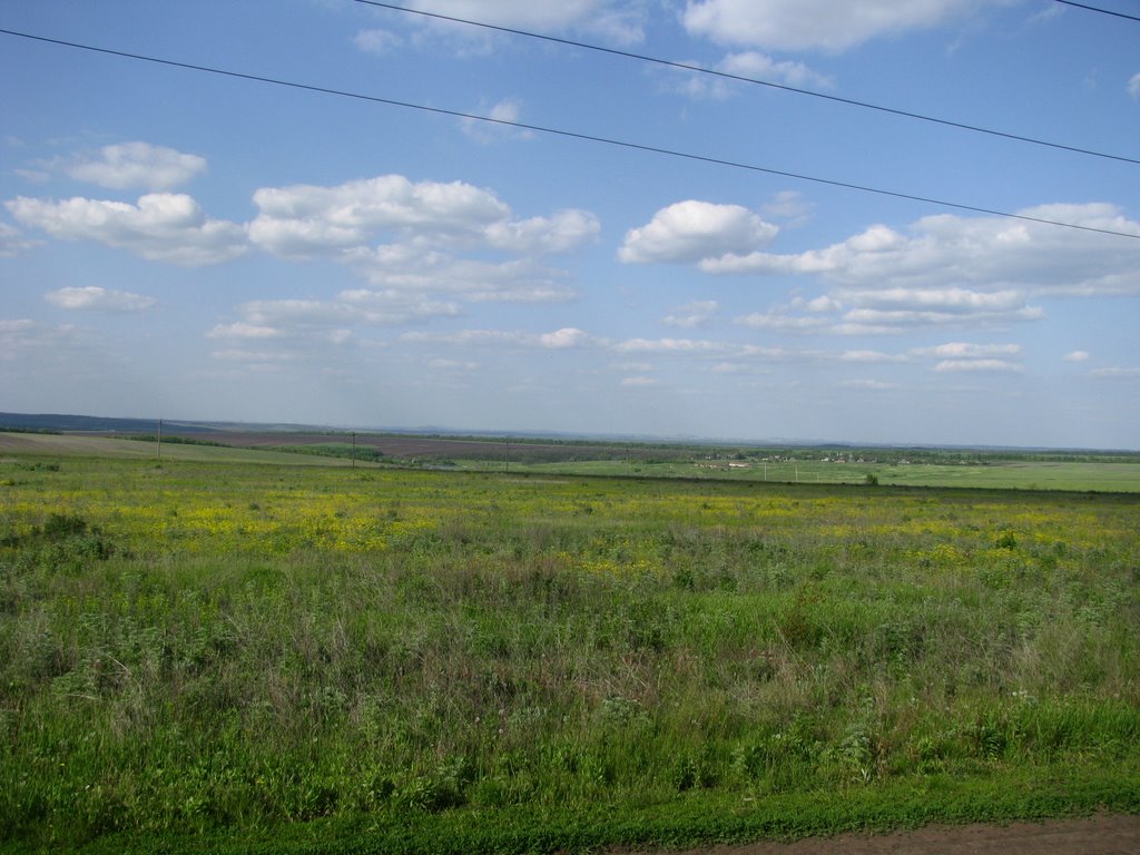Донецкая степь