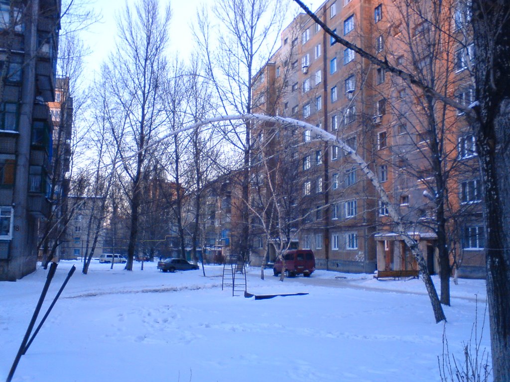 Берёза под моим окном