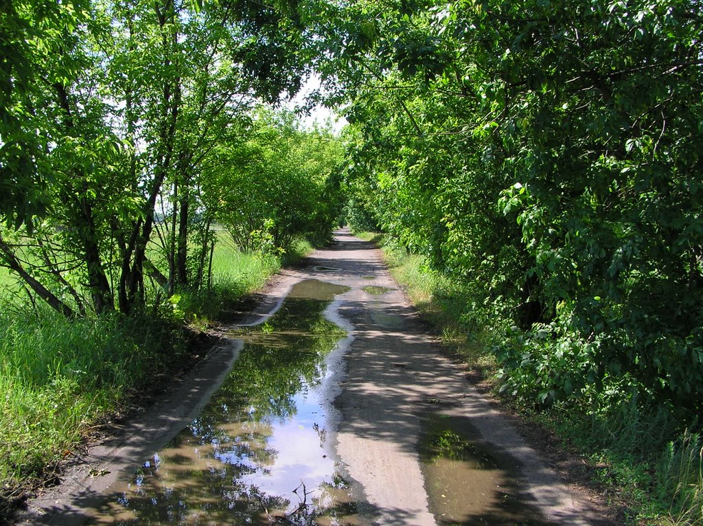 "Дорога жизни" (Road of Life)