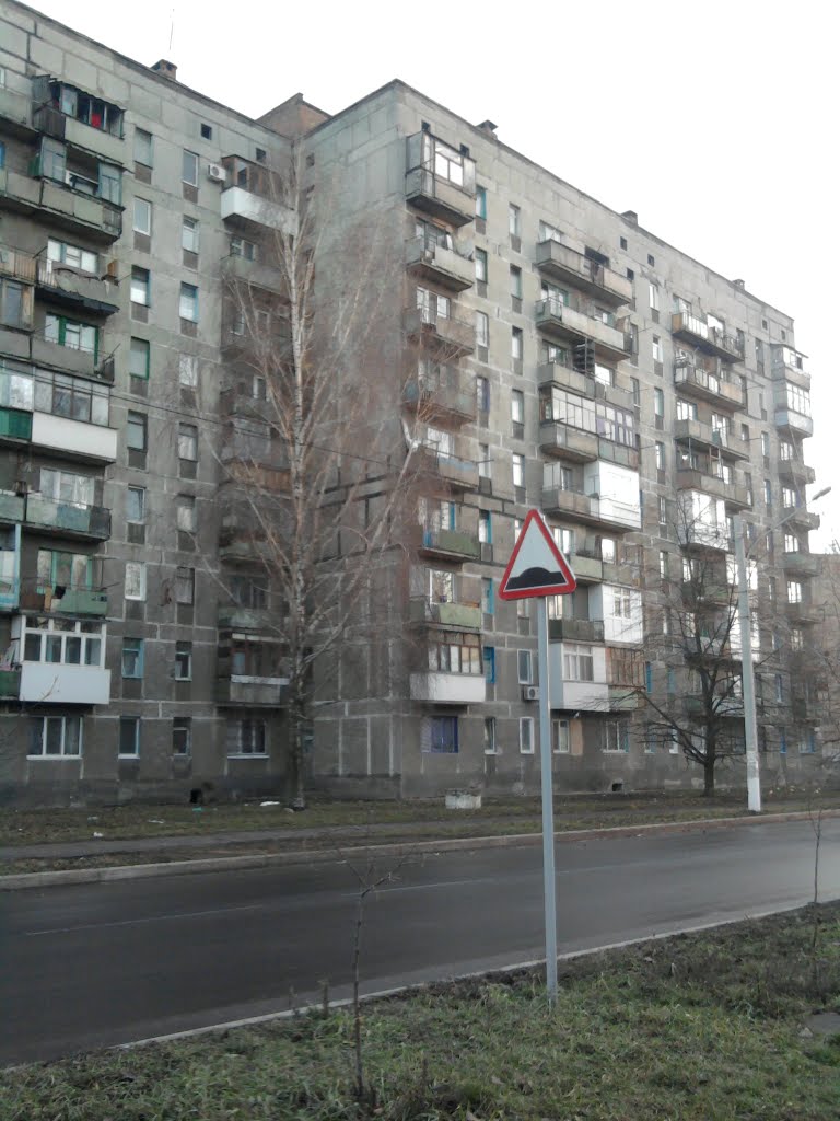 Берёзка (Birch)