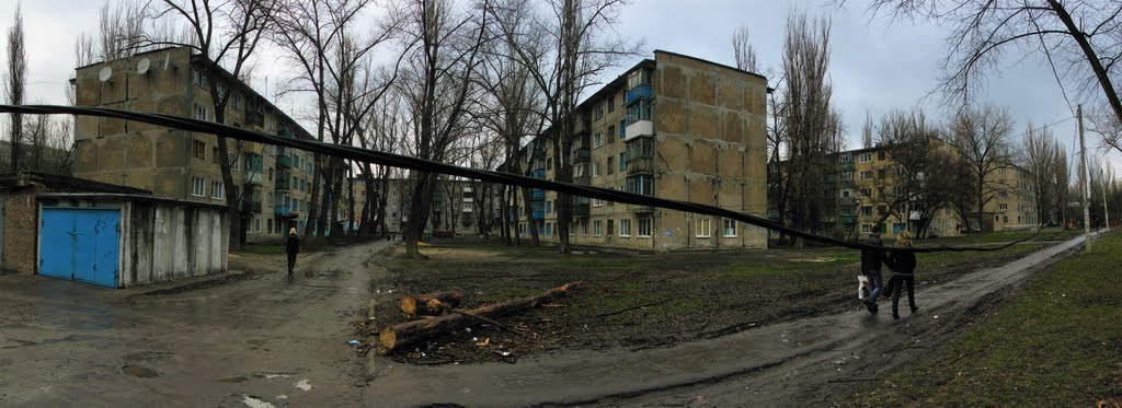 Двор1