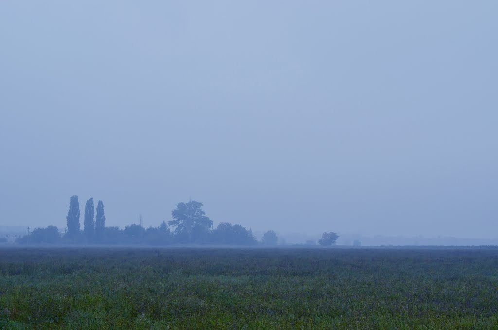 В тумане (In the fog)