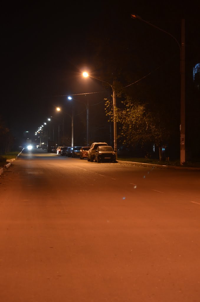 Дорога на базар (The road to the market)