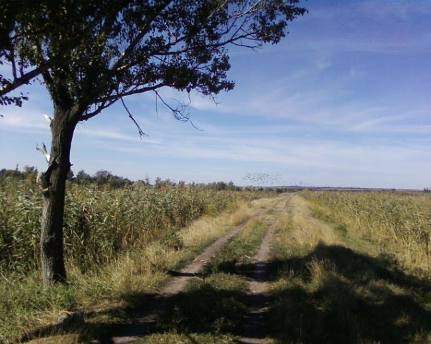 село Петровка - 1