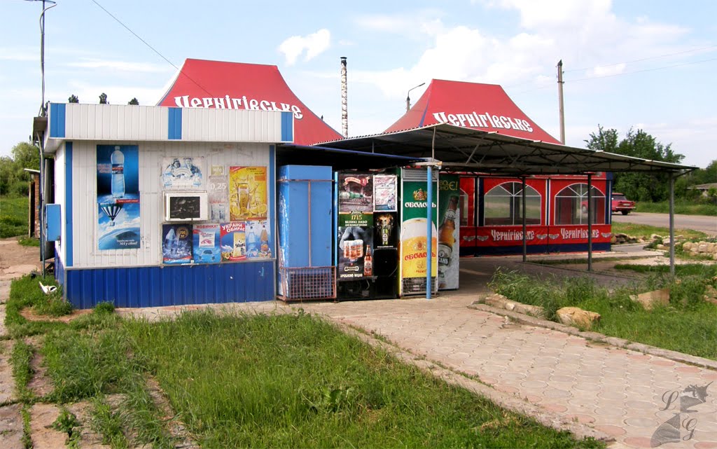 местный кабачёк