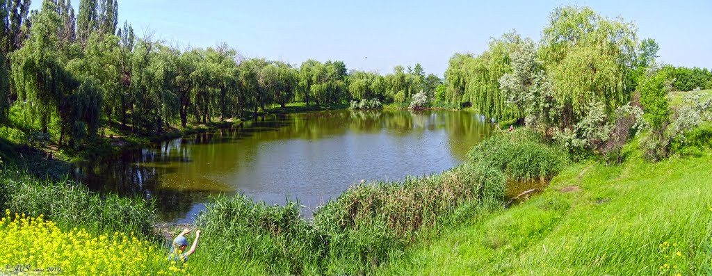 ставок
