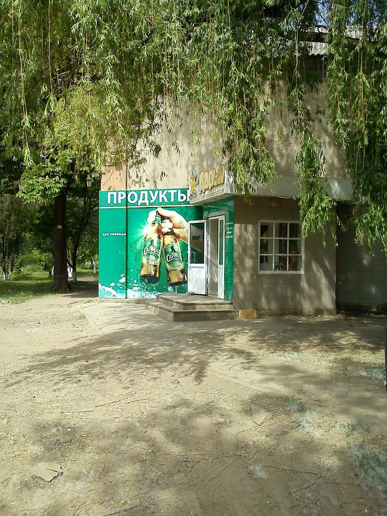 магазин Алексеево-Дружковка