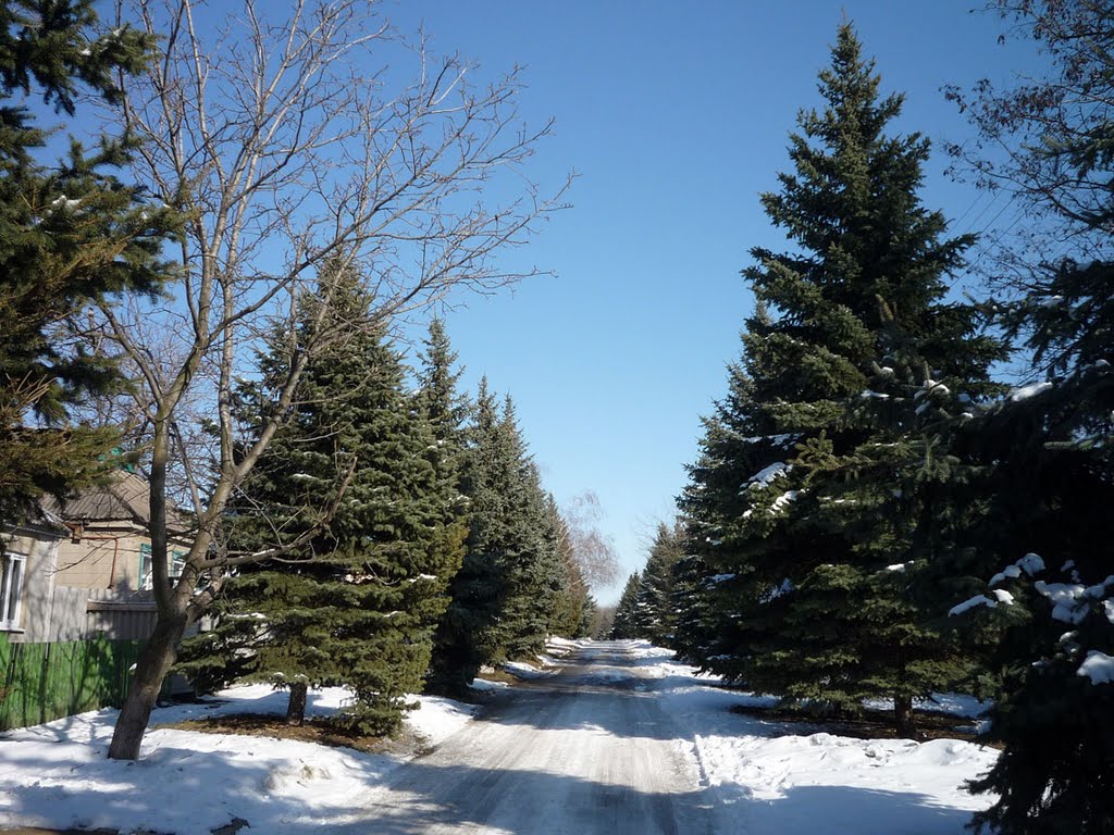 дорога в парк им. Кирова