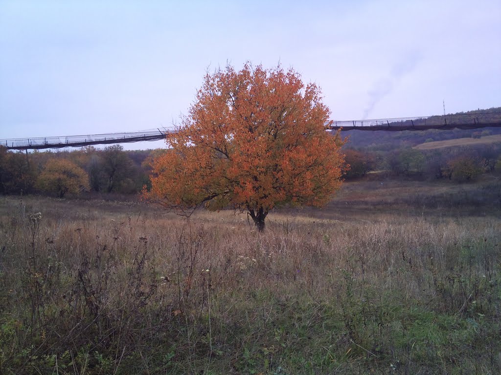Степь