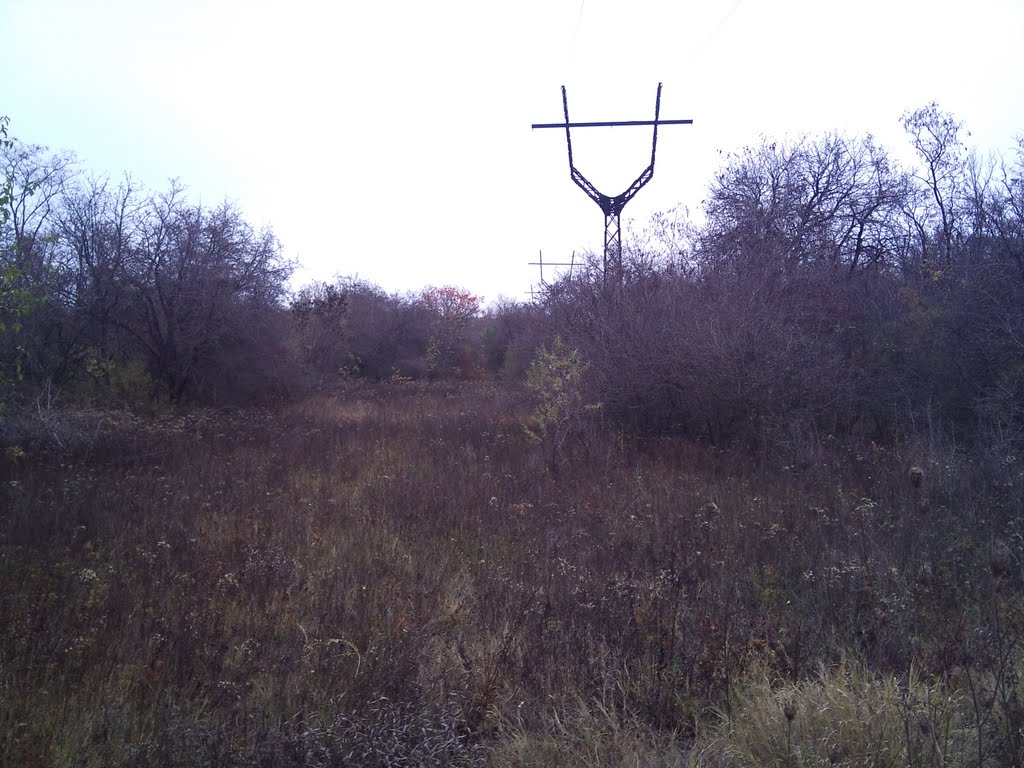 Лесок