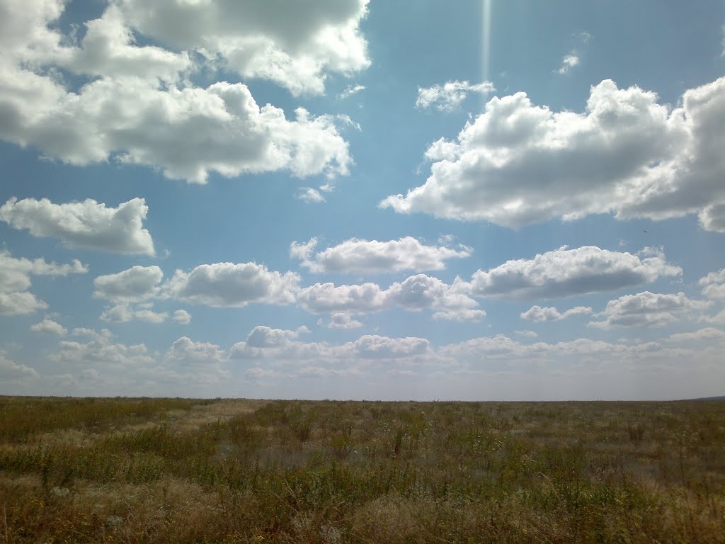 Степь 18.07.2013