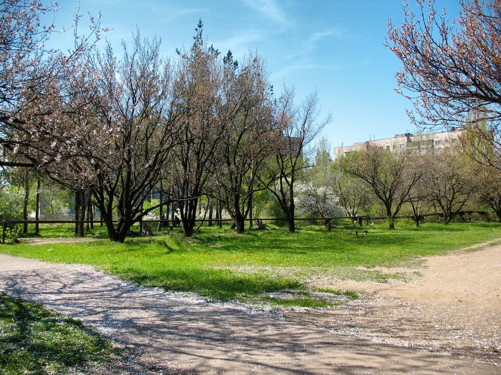 Дзержинск 12