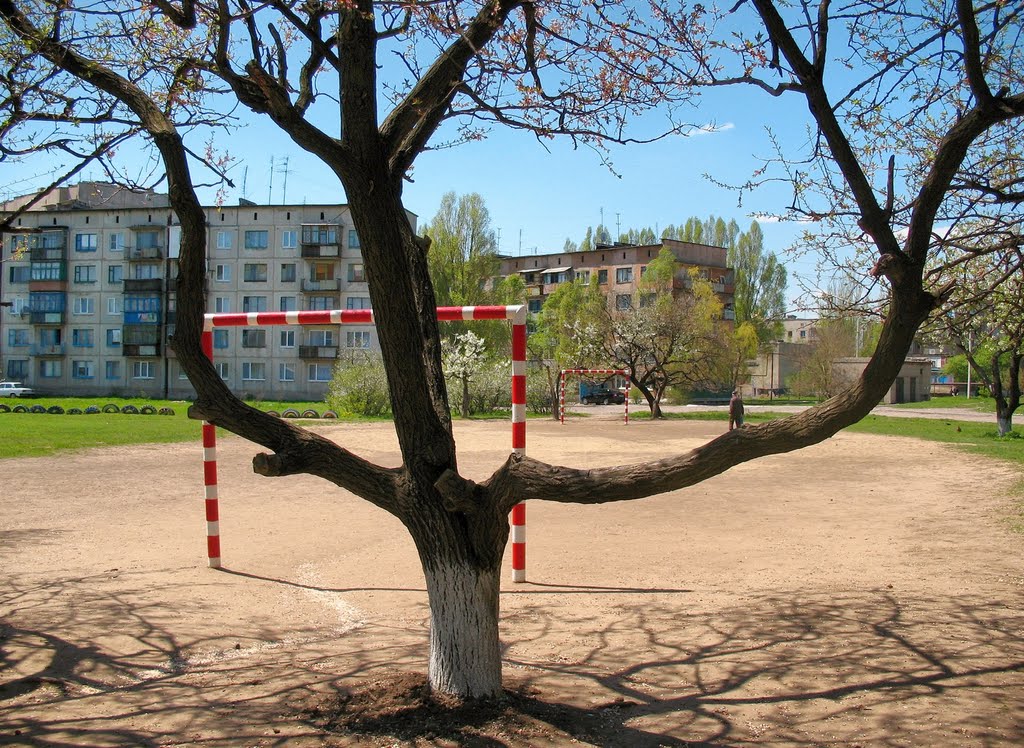 Дзержинск 17