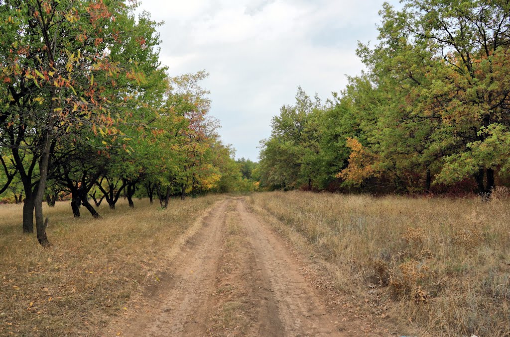 Дзержинск, дорога 4