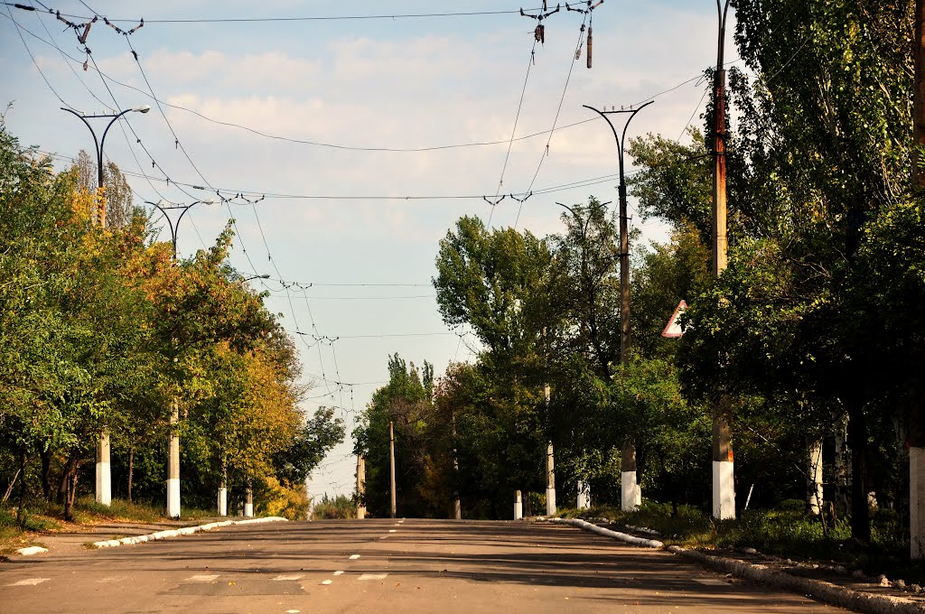 Донецкая обл., пгт Кирово, ул. Ленина