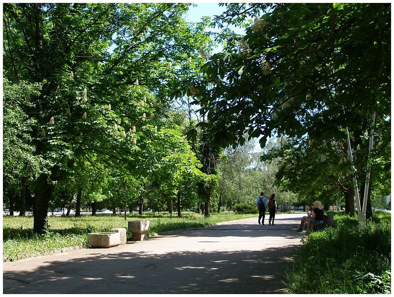 в ценре, парк