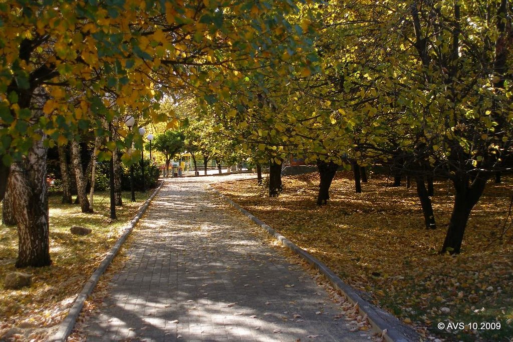в парке