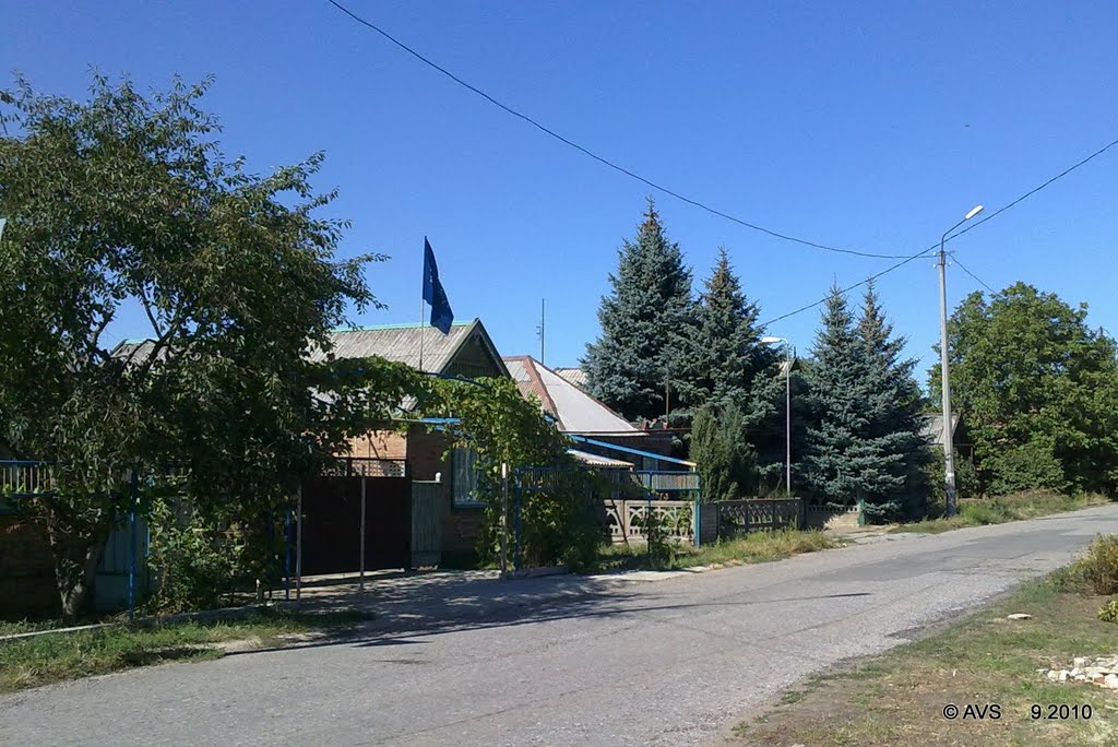 дом с флагом Партии Регионов