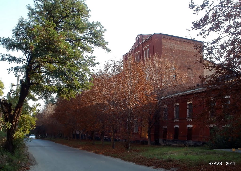 улица Петровского