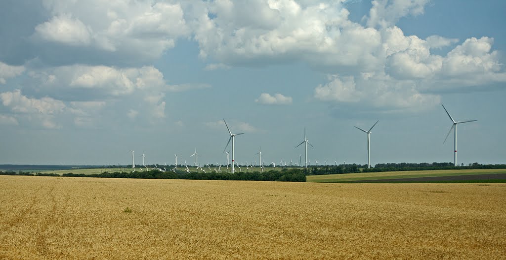 лето 2011