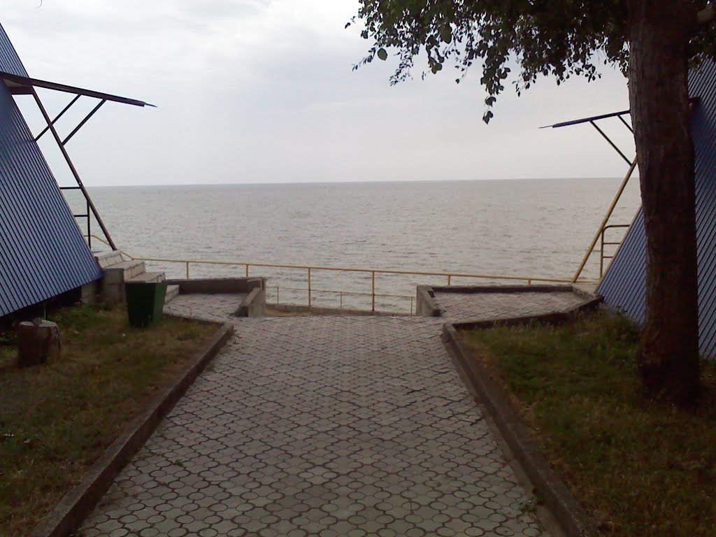 Выход к морю (б/о "Бирюса")