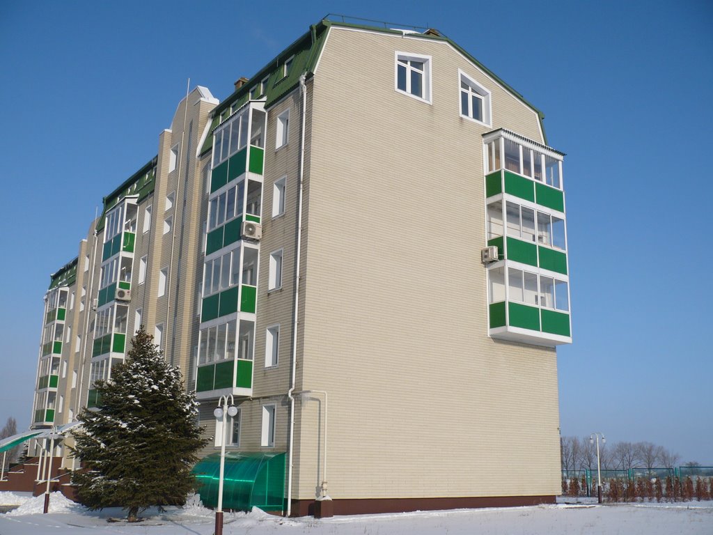 Одинокий домик.
