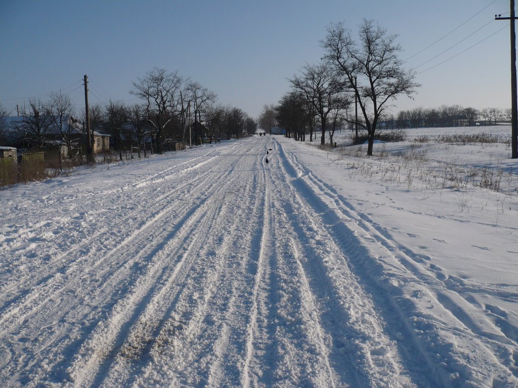 ЗИМА