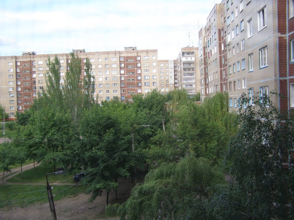 Беляева 119