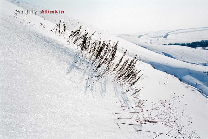 Chalk Mountain. Belenkoe. Kramatorsk. Меловые горы. Беленькое. Краматорск