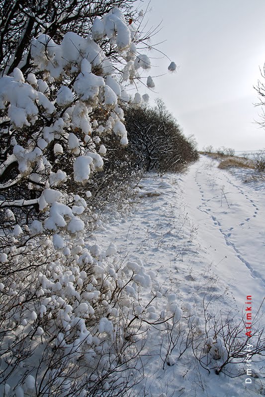 Belianska mountains. Белянские горы
