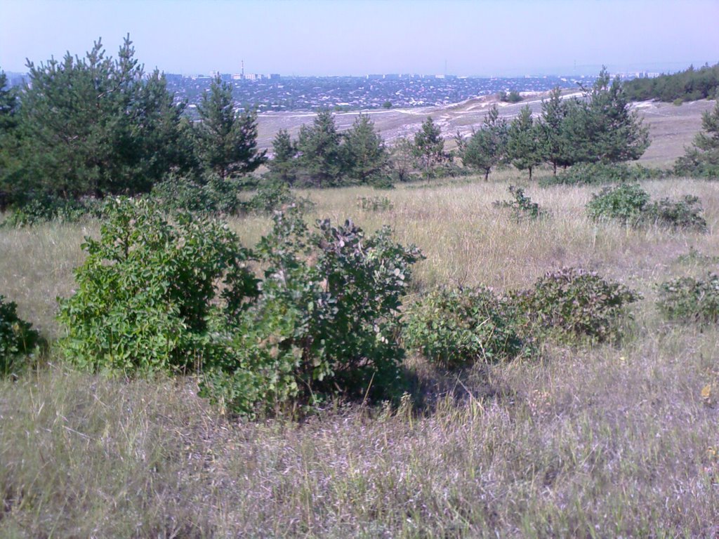 Вид на город (zart arn)