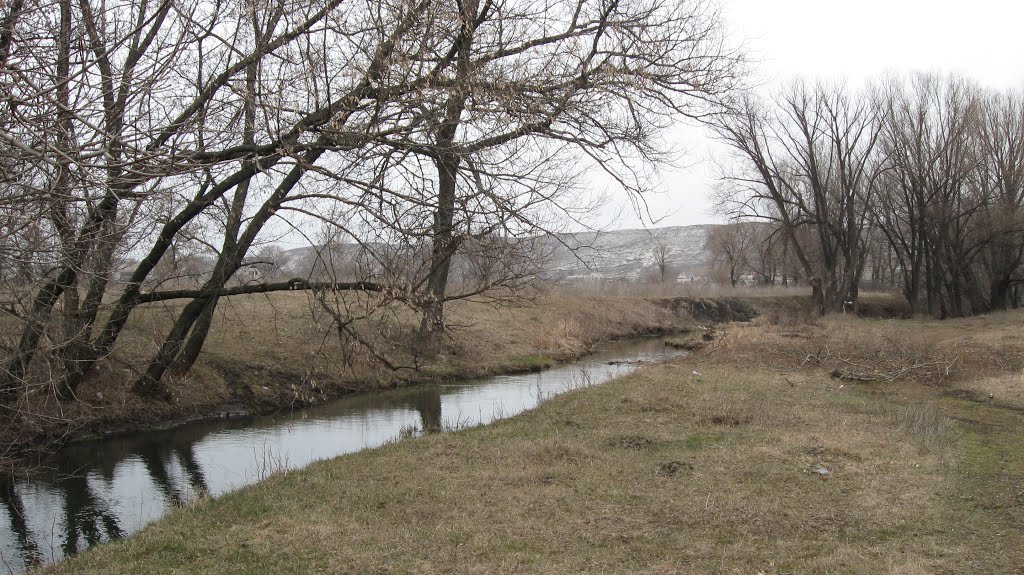 Белянка