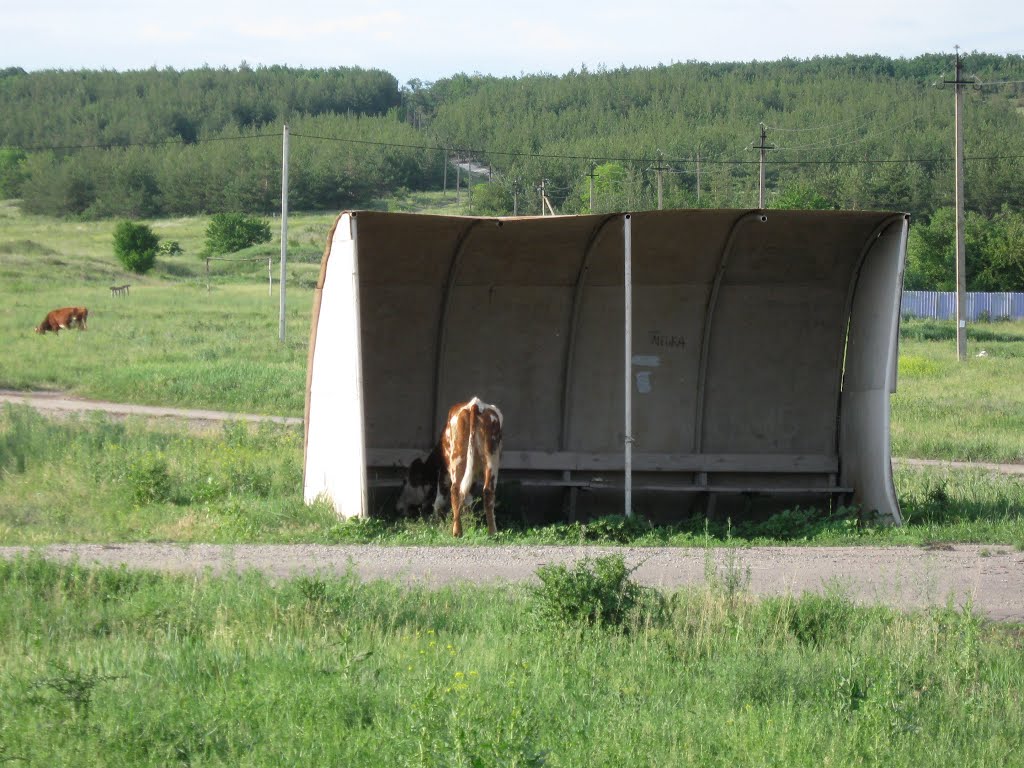 Остановка