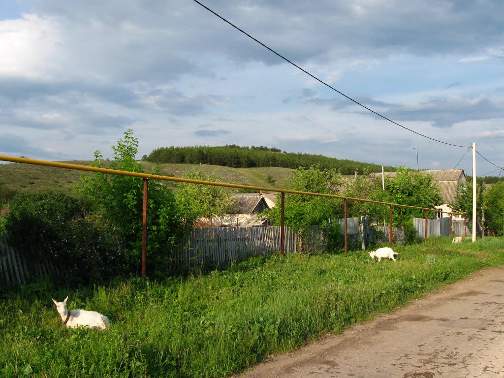 Старая Беленькая