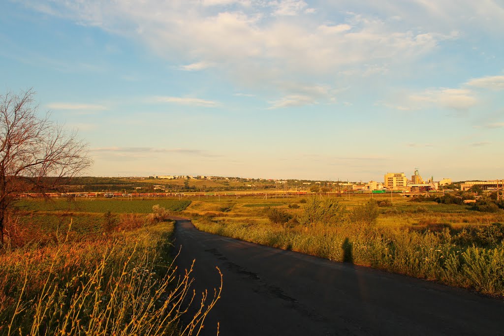 дорога на соль