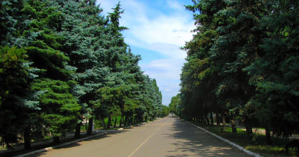 пр-кт.Гагарина